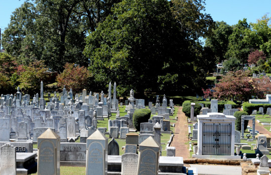 Escena de Fast and Furious en Oakland Cementery, Atlanta